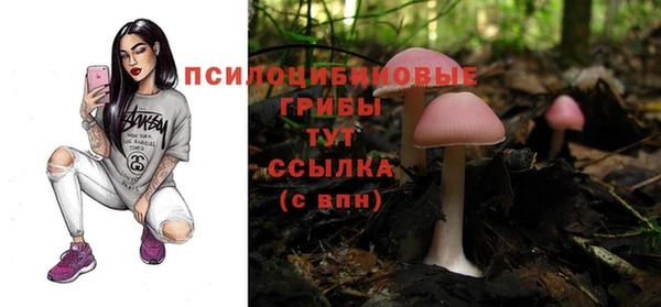 марки lsd Белокуриха