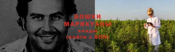 марки lsd Белокуриха