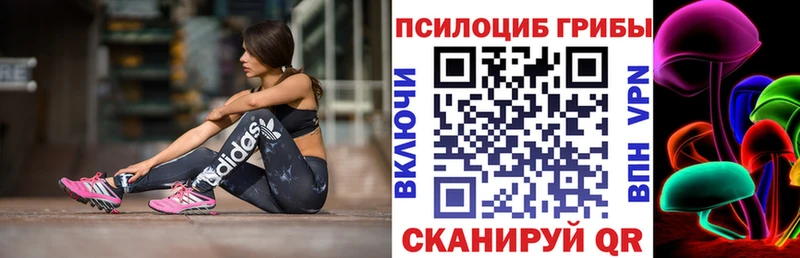 Псилоцибиновые грибы Psilocybine cubensis Плёс